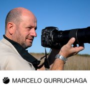 Marcelo Gurruchaga